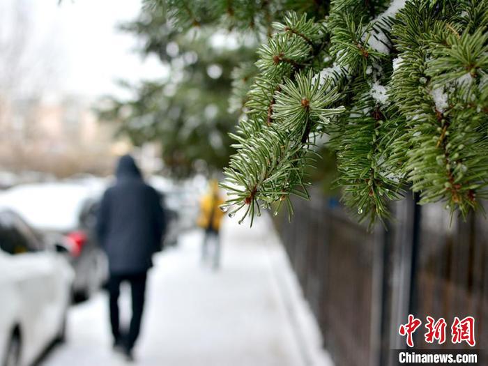 長春出現(xiàn)凍雨。郭佳 攝