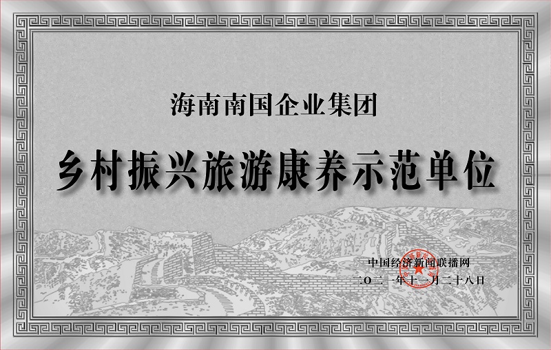 海南南國企業(yè)集團.jpg