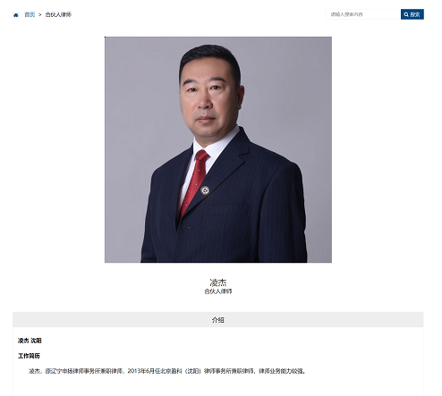 凌杰-北京盈科（沈陽）律師事務所 - 副本.png