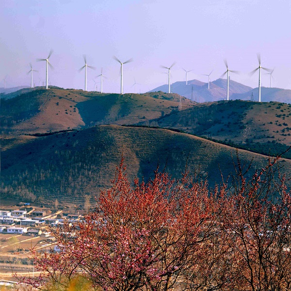 春風  孟曉軍.jpg