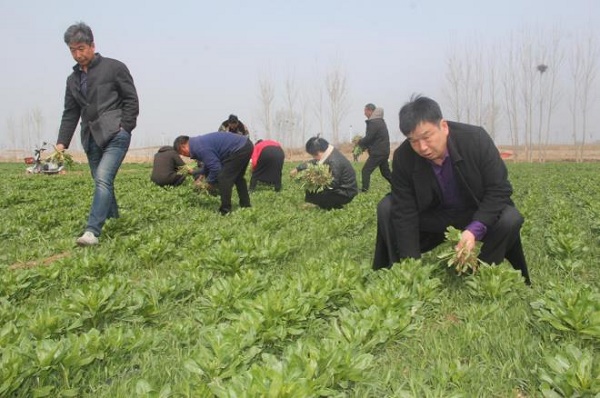 01 - 副本 - 副本 (4).jpg