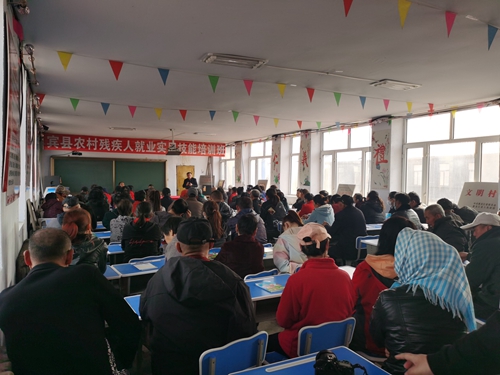 黑龍江省人大代表、黑龍江中朗文化集團(tuán)董事長 陳嘉.jpg