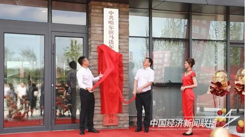 641 (1).jpg?v=1692240802