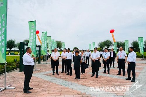 eaefebae33e9c621a9669a22a77497d.jpg?v=1692953636