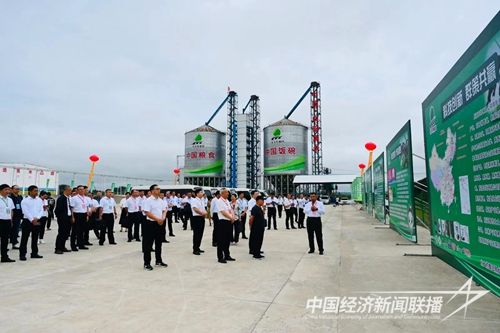 34bb1bf9d1b2758f4023ed9a71eeada.jpg?v=1692953636