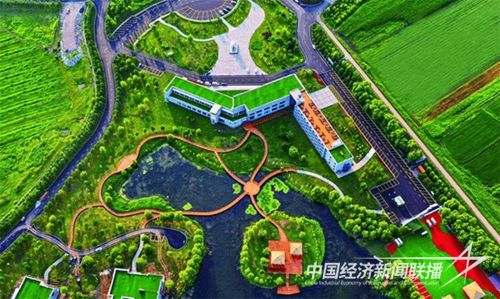 169355585970502692.jpg?v=1693563774