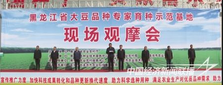 圖片1(1).jpg?v=1695035279