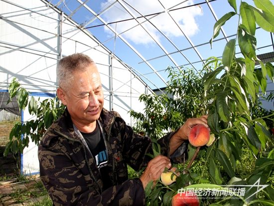 蟠桃.jpg?v=1695274819