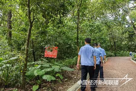 圖片7.jpg?v=1695274484