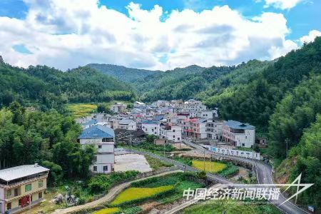 圖片6.jpg?v=1695378242