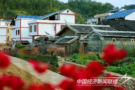 圖片8.jpg?v=1695378242