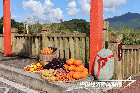 慶豐收 促和美︱福建省2023年中國(guó)農(nóng)民豐收節(jié)系列活動(dòng)在上杭古田啟動(dòng)8.png