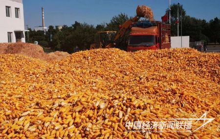 臺安豐收3).jpg?v=1695734188