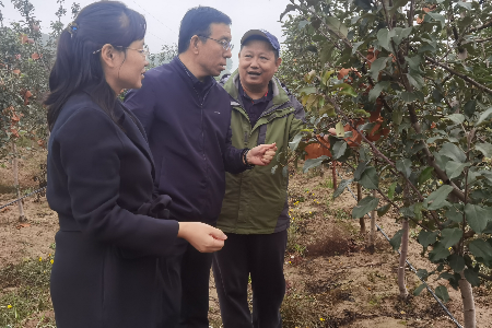 20231009  廈門赴寧夏彭陽科技特派員進村入戶開展科技服務1.png