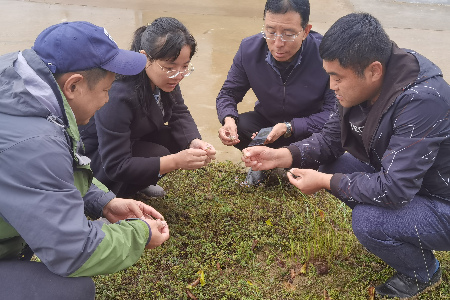 20231009  廈門赴寧夏彭陽科技特派員進村入戶開展科技服務2.png