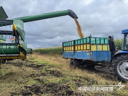 rmwapp_2_20201148a9ef6c-3f9d-48a2-bcc9-f77fb693047b.jpg?v=1697195307