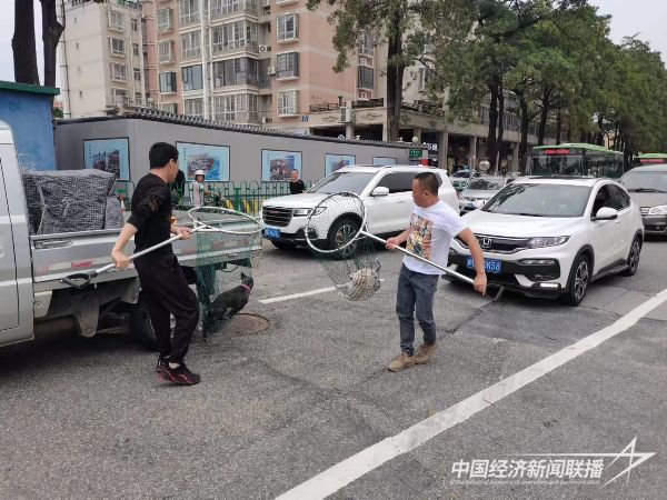 20231020  廈門集美城管5.jpeg