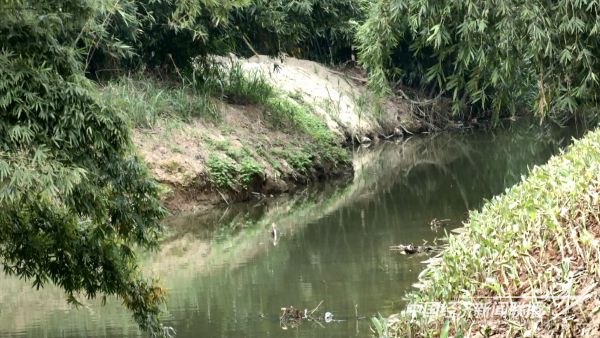 20231023  黑臭水體治理2.jpeg