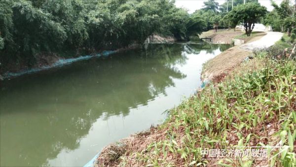 20231023  黑臭水體治理8.jpeg