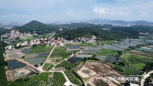 20231023  黑臭水體治理6.jpeg