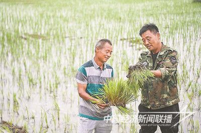 001(1).jpg?v=1698206530