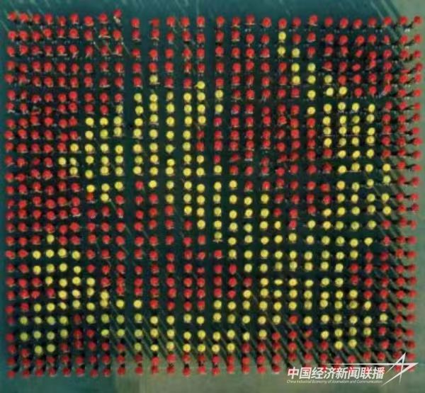 微信圖片_20231031115926.jpg?v=1698737263