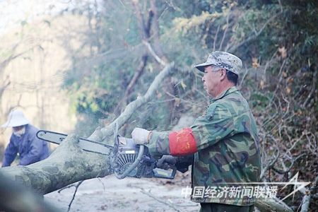 整修公路邊樹(shù)枝.jpg?v=1698820818