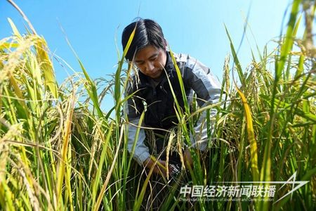 20231102b7a7f75066717acc5e376982bb59d21c.jpg?v=1698932441