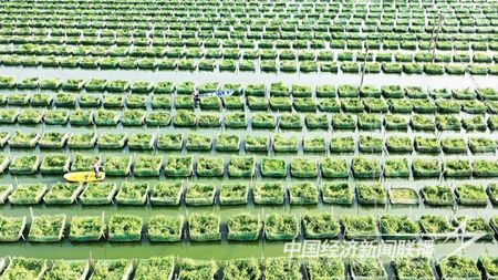 20231102cb6c62ec50d571a9a7c8bcfb7a84c803.jpg?v=1699253054