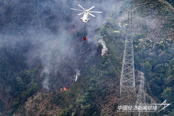 20231109吉祥鳥1.jpg?v=1699499275