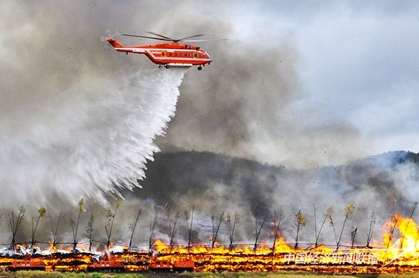 20231109吉祥鳥3.jpg?v=1699499275