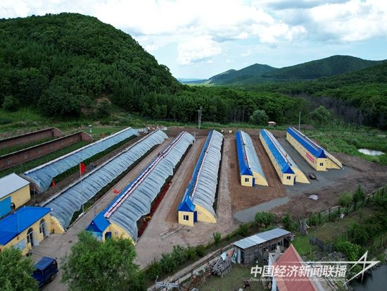 mmexport1656927604354.jpg?v=1699929349