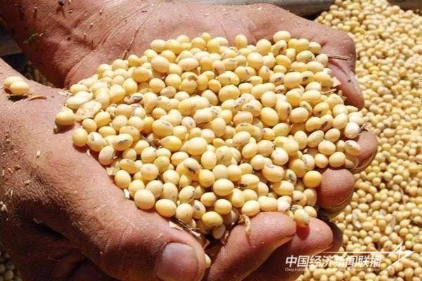 001(1).jpg?v=1699928613