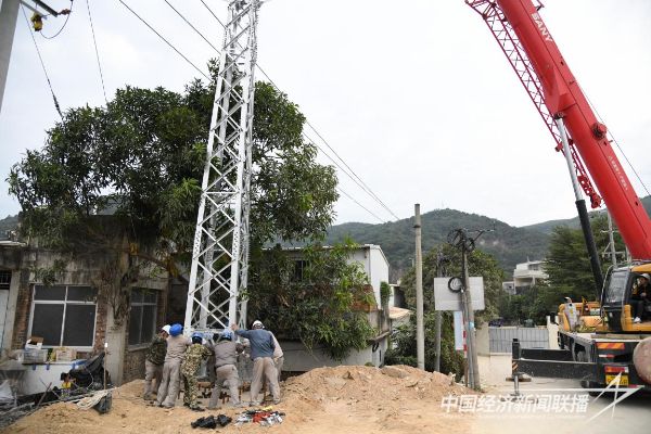 20231115  云霄供電：線路改造2.jpeg