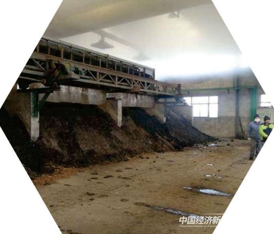 003.jpg?v=1700234650