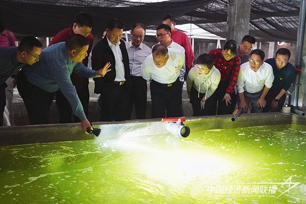 20231121海洋7.jpg?v=1700563258