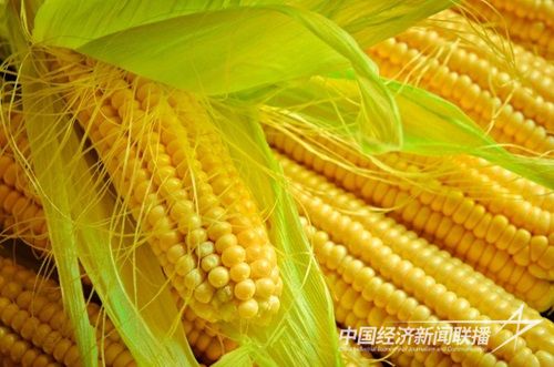 001(1)(1).jpg?v=1700578457