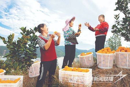 00300422843_6845abf1.jpg?v=1700911925