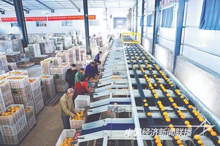 00300422844_94a6329a.jpg?v=1700911925