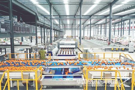 00300422848_03eb9b12.jpg?v=1700911925