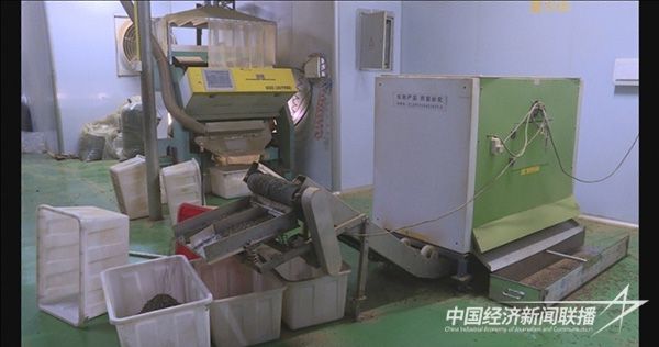 20231127返鄉(xiāng)創(chuàng)業(yè)4.jpg?v=1701076127