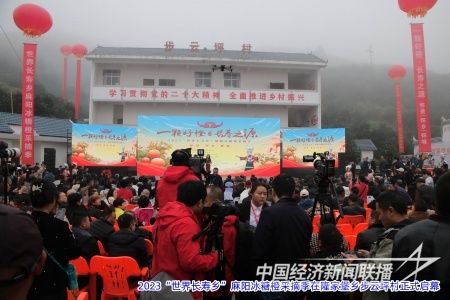 IMG_9337_看圖王.jpg?v=1701179012