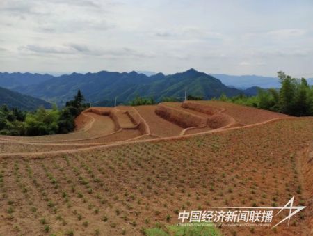 微信圖片_20231129155055.jpg?v=1701250276