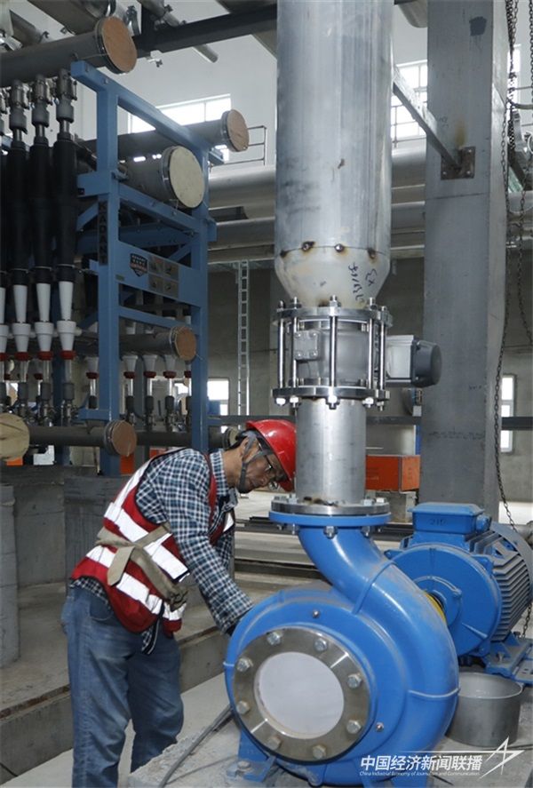 001(1)(1).jpg?v=1701521321