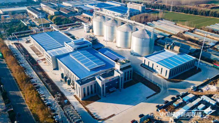 1207....jpg?v=1701916769