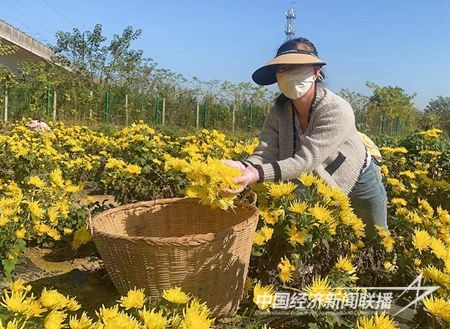 9d9ade8a3a668369dd5435fd15f1805.jpg?v=1701921402