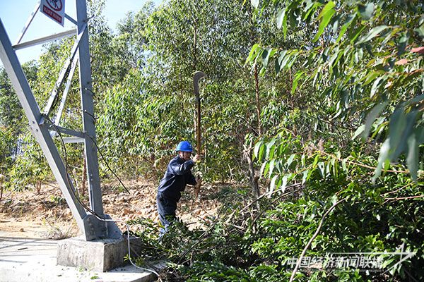 20231211  云霄供電：“三強化”2.jpg?v=1702280239