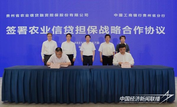 001(1)(1).jpg?v=1702609485