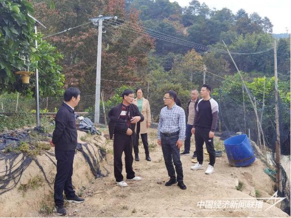 20231215永定2_new (1).jpeg