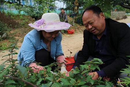 管成彬在金銀花基地 - 副本_proc.jpg